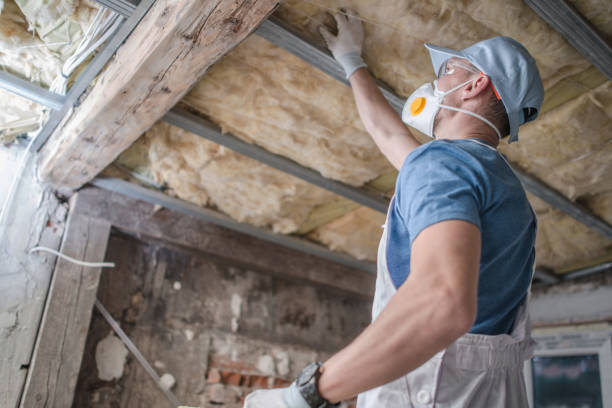 Best DIY Insulation Kits and Guidance in Edmundson, MO