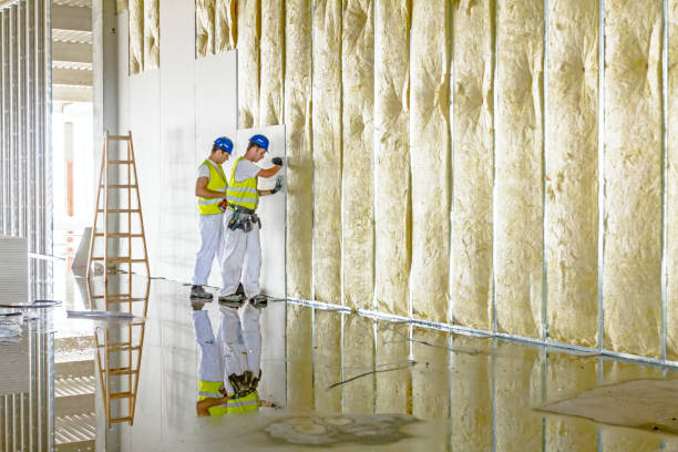 Types of Insulation We Offer in Edmundson, MO